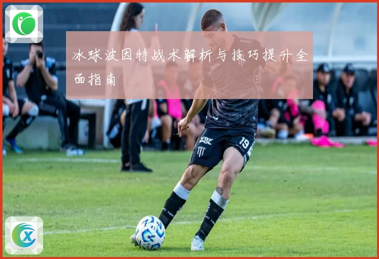 冰球波因特战术解析与技巧提升全面指南