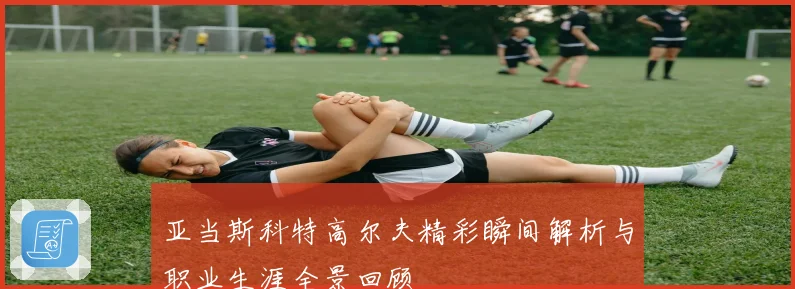 亚当斯科特高尔夫精彩瞬间解析与职业生涯全景回顾
