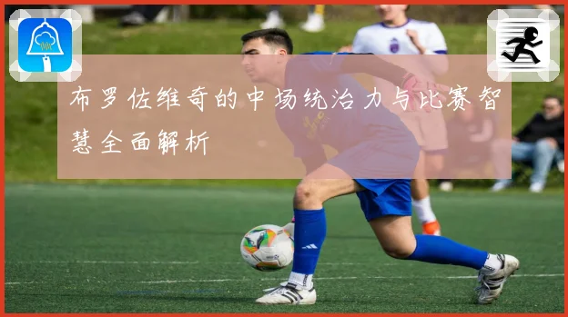 布罗佐维奇的中场统治力与比赛智慧全面解析