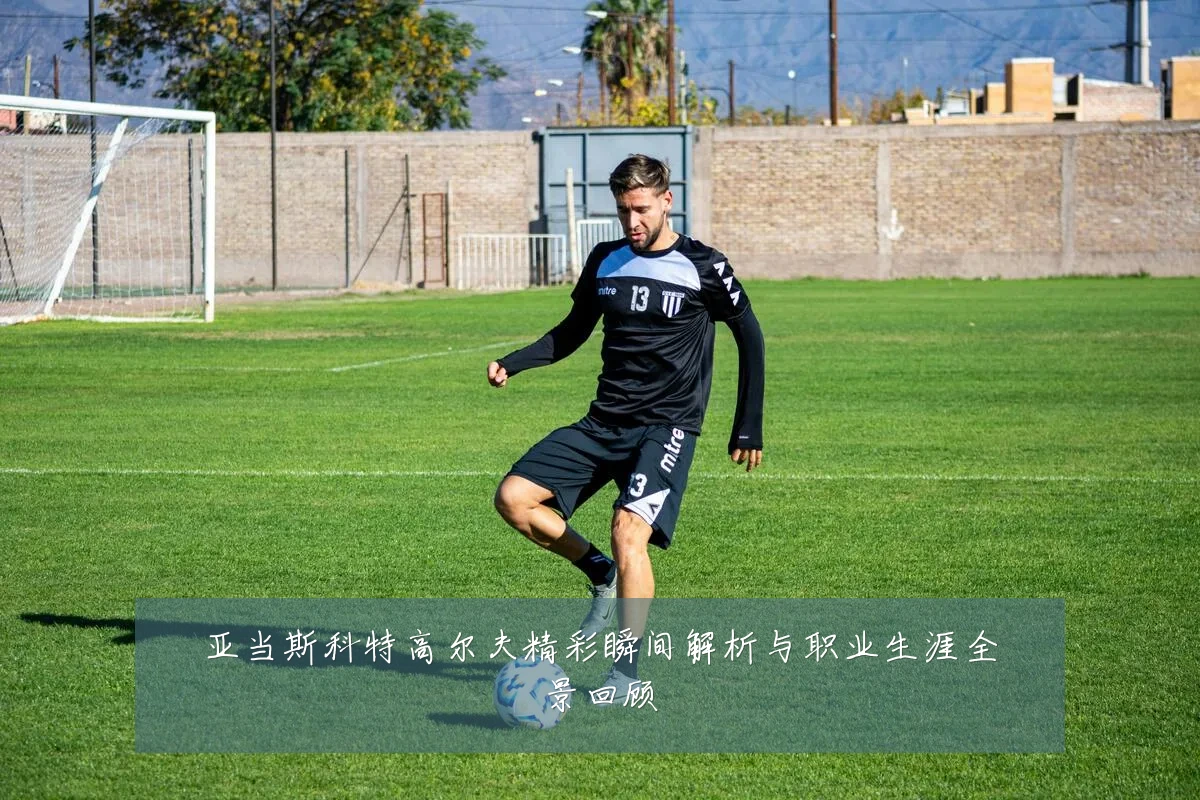 亚当斯科特高尔夫精彩瞬间解析与职业生涯全景回顾